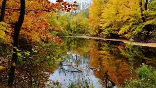 CV02 Chill Vibes Study Music Relax Your Mind Music Stress Relief_YouTube