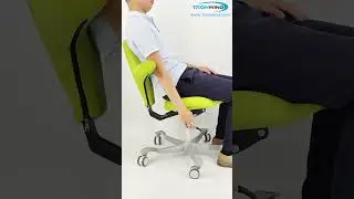 Tronwind Ergonomic Work Chair TA02