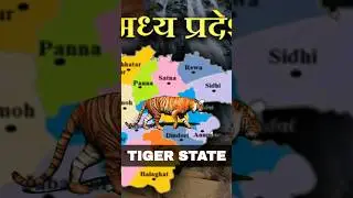 Madhya pradesh is Tiger State | #shorts #bjp #mp #tiger #viral #politics #modi