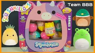 SQUISHMALLOWS SERIES 3! SQUISHVILLE Mystery Capsules Mini Squishie Plushie with fashion accessory
