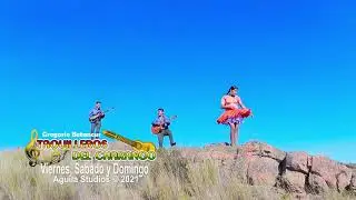 TAQUILLEROS DEL CHARANGO - viernes s&aacute;bado y domingo