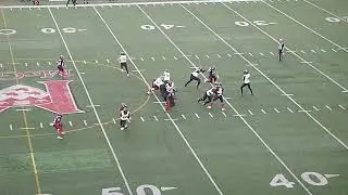 Hamilton Tiger-Cats QB Matthew Shiltz runs for 51 yards vs. Montreal Alouettes 6/2/23