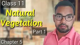 Natural Vegetation | Chapter 5 , Class 11| Part 1 | Geography with notes