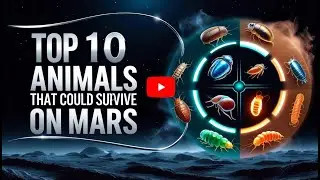 Top 10 Animals That Could Survive on Mars