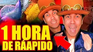 1 Hora de SE VOC&Ecirc; VER ISSO VOC&Ecirc; PRECISA CORRER R&Aacute;PIDO!