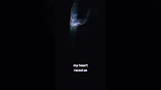 A scary story about a terrifying search in the forest