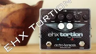 EHX Tortion, Gibson SG, Blues Junior