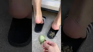 Thorns in the Slipper 😂🤯~mini wood toy~woodworking art skill wood/hand crafts/ #shorts