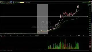 Trade re-cap $ADIL $ZSAN 2/21/2019
