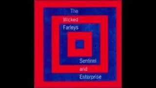 The Wicked Farleys - Feel the Mores