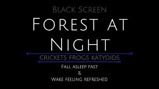 10 Hours - Forest at Night - Forest Frogs - Crickets - Katydids - Forest Sounds - Frogs in Forest