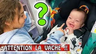 OÙ ALLONS-NOUS FÊTER NOËL CETTE ANNÉE ? 🤔