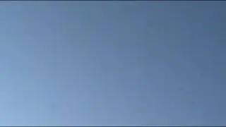 ddwd