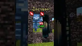 ウォーデンvsウィザーどちちが勝つか知ってた？【マイクラ】