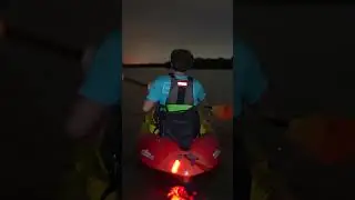 Beyond the Expected: Bioluminescence Kayaking in Cocoa Beach