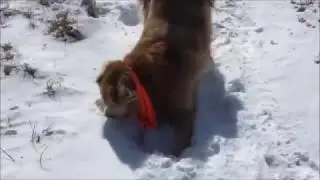 Heartwarm