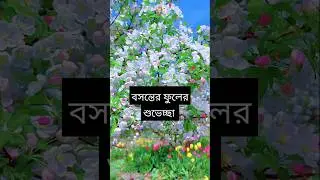 Greetings to everyone on the first day of spring.#short #flowers
