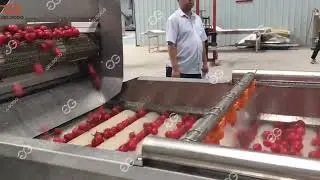 Cherry Tomato Washing And Drying Processing Line