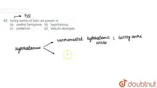 Satiety centres of brain are present in