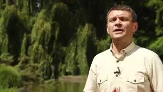 Novi Sad Zauvek epizoda 2 - Dunavski park