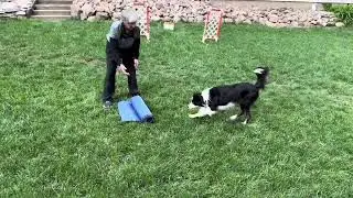 Yoga Mat  Parlor Trick
