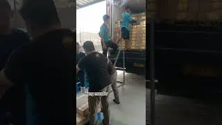 proses bongkar frozen ke freezer #beku #gudang #grosir #freezer  #ikan #steak