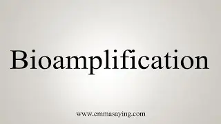 How To Say Bioamplification