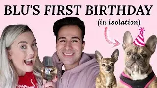 PUPPY'S FIRST BIRTHDAY PARTY! (In Isolation)