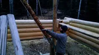 using gin pole to move logs