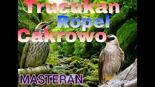Trucukan Ropel Isian Cakrowo