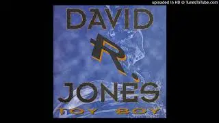 TOY BOY / DAVID R. JONES