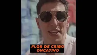adivinaaaaa!!!!flordeceibo/templodelaruta9