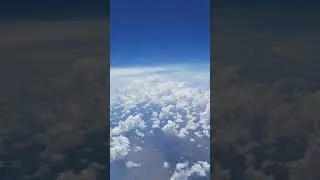 Prestige World wide