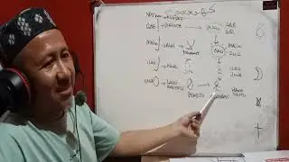 Alif Lam Lam Ha