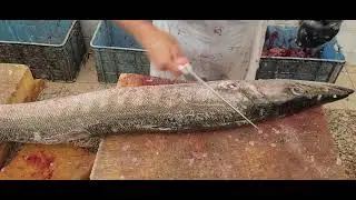 Filleting Barracuda Fish Amazingly/ Slicing Barracuda Fish Skills/ Cutting Barracuda Fish Fantastic