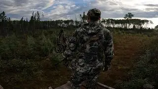 Archery moose hunting northeastern Ontario