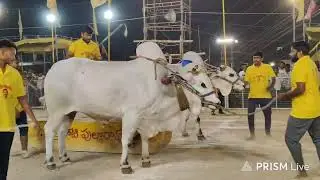 చిలకలూరిపేట టౌన్||సీనియర్స్ విభాగం 12వ జత ద్వార్షాల గురివి రెడ్డి గారు & తేజస్వరరెడ్డి గారు 💥💥