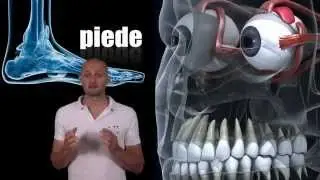 Corso di Stabilometria Lezione 08 - Varianza della Velocit&agrave; - Diego Scattolin