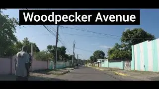 Woodpecker Avenue, Cockburn Gardens, Kingston, Jamaica