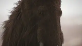 Mammoth &ndash; The Giant Mammal From The Past / Documentary (English/HD)