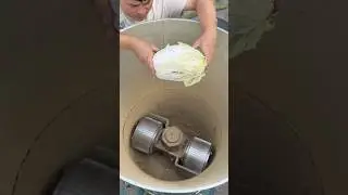 Incredible Food Pellets Machine! 🌽🥬 Amazing Process! #shorts