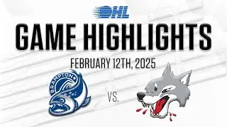 OHL Highlights: Brampton Steelheads @ Sudbury Wolves Feb. 12, 2025