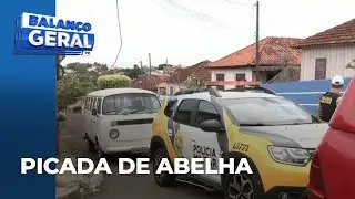 Moradora leva mais de 200 picadas de abelhas em ataque registrado em Londrina