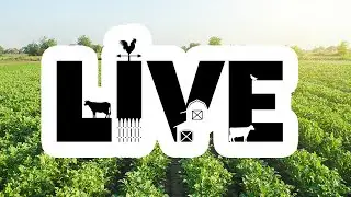 Quick Farm Update & Contest!