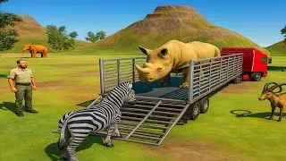 Animal Transport Truck Farm Games|| Animal Cargo Truck Games|| Animal Trucks Android Gameplay 