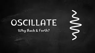 Why Oscillations Appear Everywhere | SHM Explained