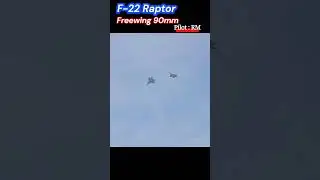 꼰대의취미#RC비행기#RC헬기#RC전투기#RC Aviation#F-22 Raptor