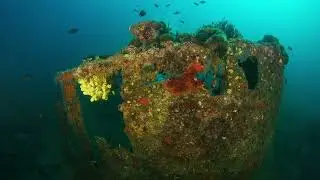 WWI Shipwrecks for Discovery Divers