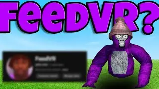 FEEDVR