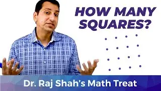 How Many Squares in the Grid?